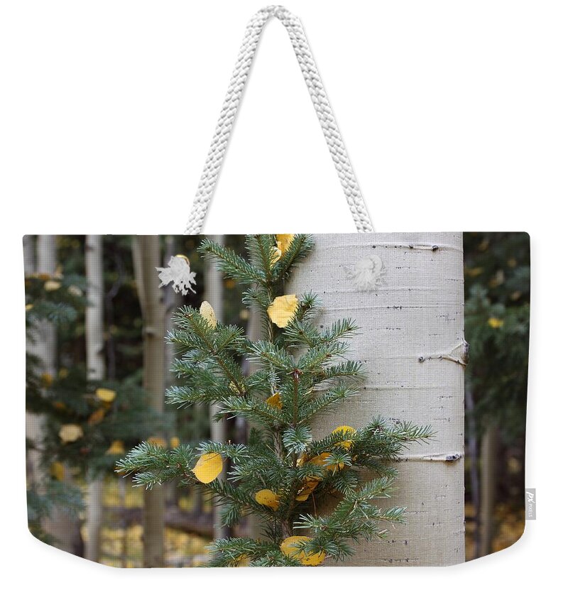 Trees Weekender Tote Bag featuring the photograph Two Trees in Love by Eric Glaser