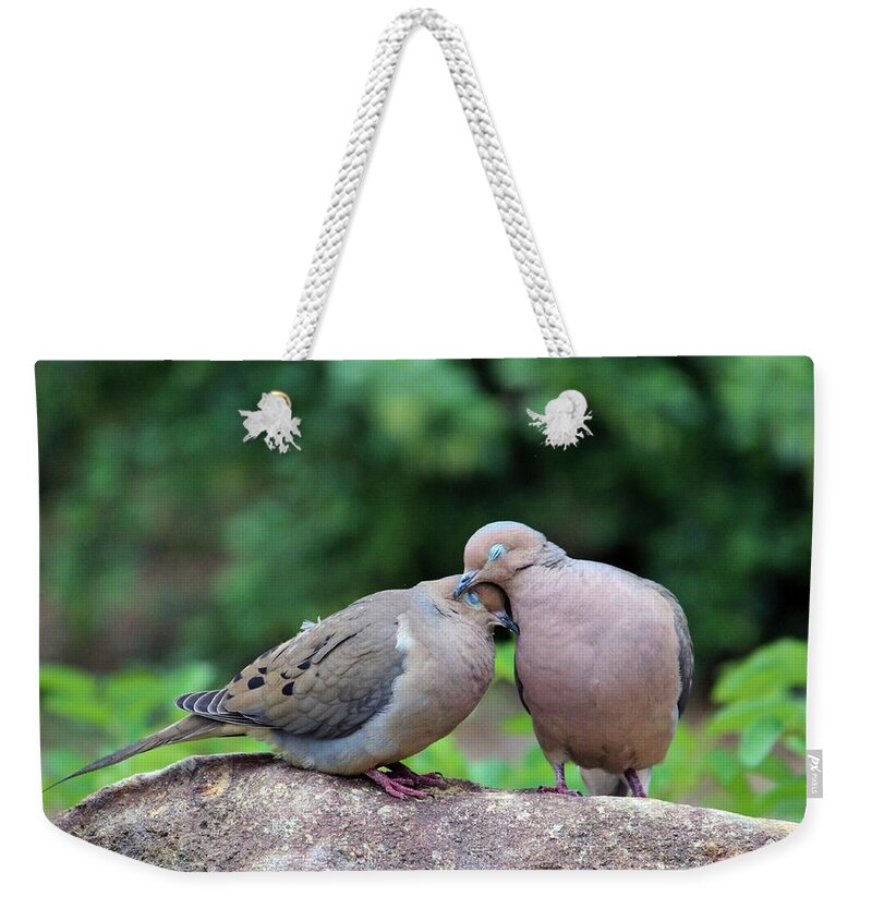 Birds Weekender Tote Bag featuring the photograph Two Turtle Doves by Cynthia Guinn