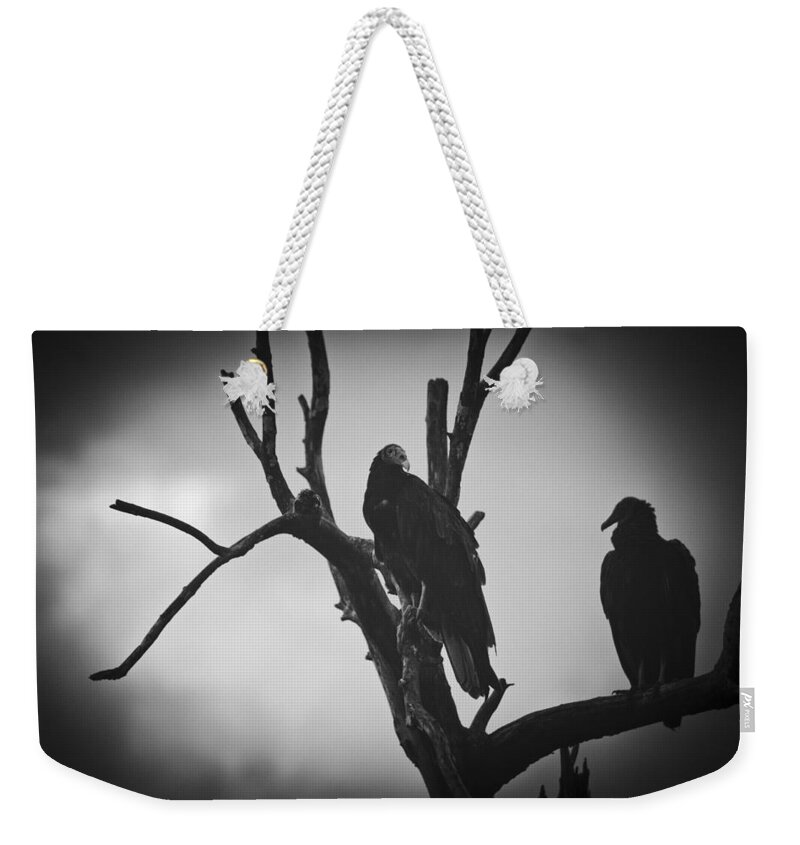 Florida Weekender Tote Bag featuring the photograph Two Vultures by Bradley R Youngberg
