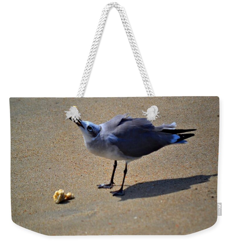 Seagull Weekender Tote Bag featuring the photograph Tybee Seagull by Tara Potts
