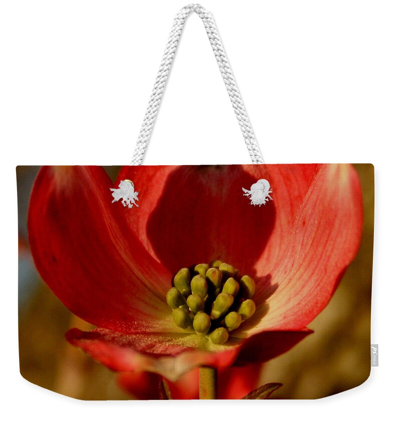 Dogwood Weekender Tote Bag featuring the photograph Unique Dogwood by Karen Harrison Brown