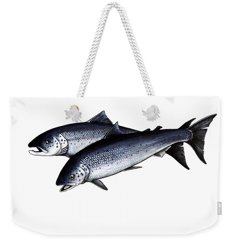 Atlantic Salmon Weekender Tote Bag featuring the mixed media Up River by Art MacKay