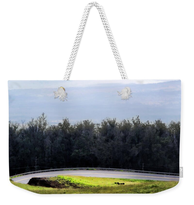 Hawaii Weekender Tote Bag featuring the photograph Upcountry 4 by Dawn Eshelman