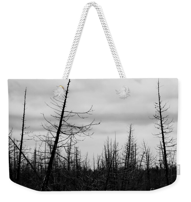 Black And White Photo Weekender Tote Bag featuring the digital art Upper Peninsula Marshlands by Tim Richards
