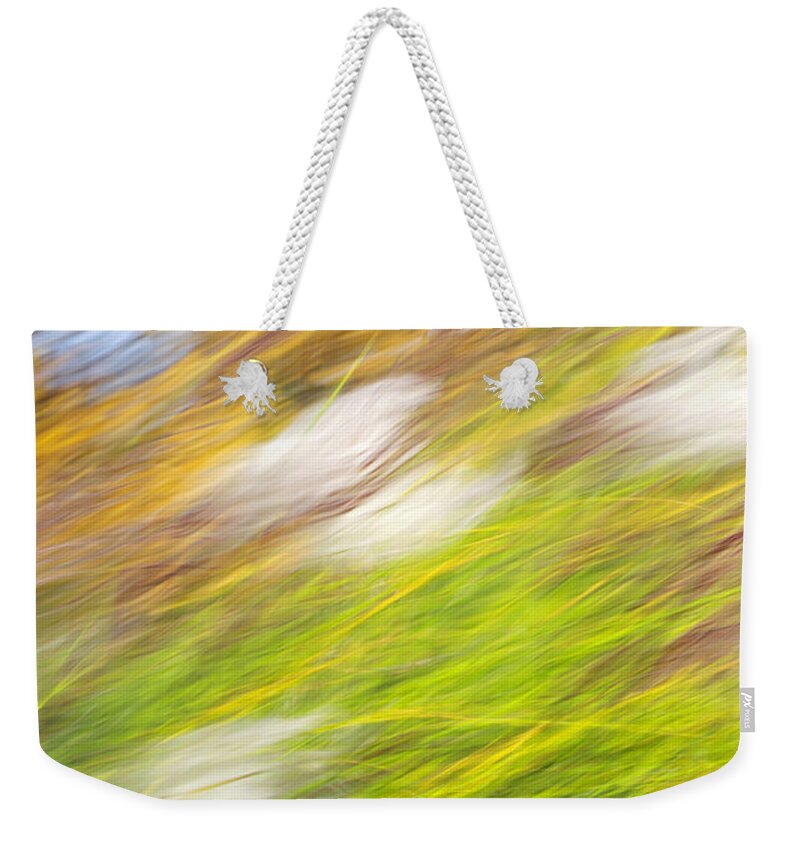 Fall Weekender Tote Bag featuring the photograph Fall Grass Abstract #1 by Christina Rollo