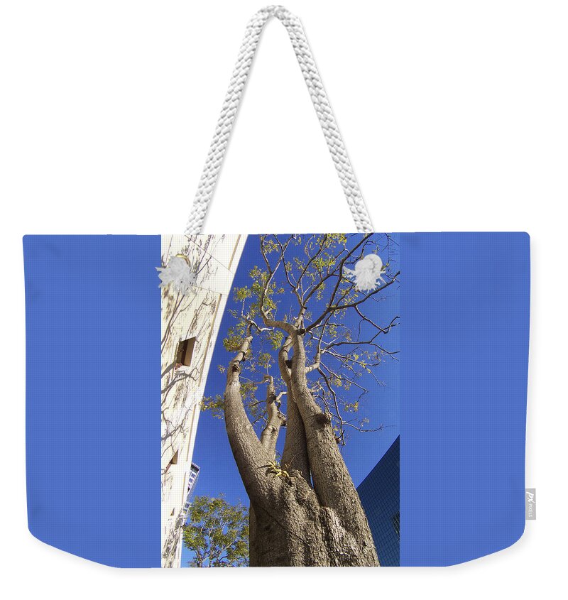 Tree Weekender Tote Bag featuring the photograph Urban Trees No 1 by Ben and Raisa Gertsberg