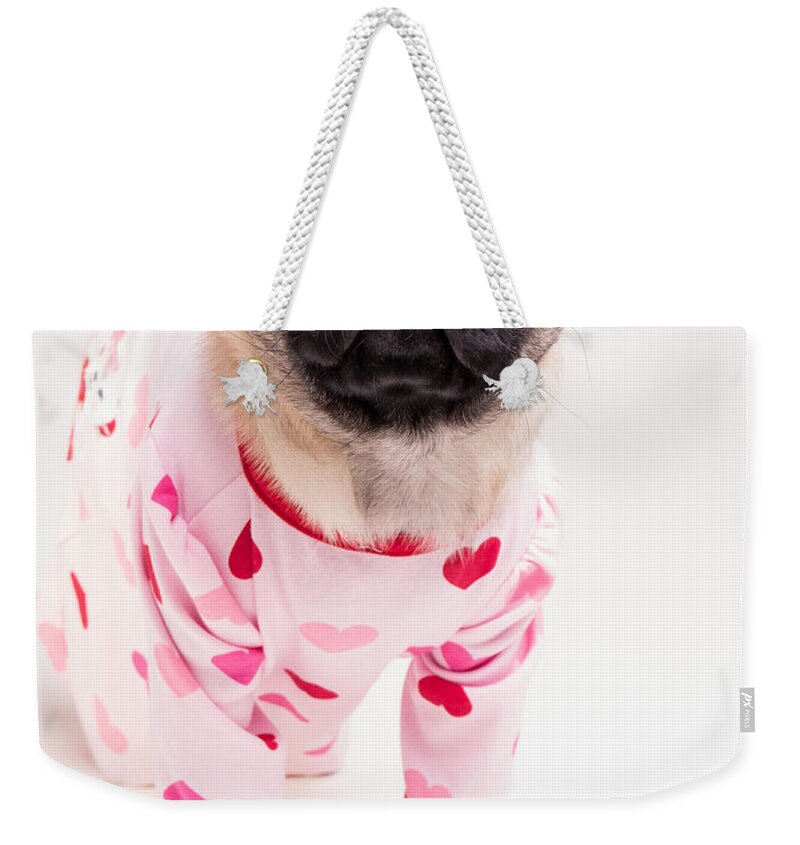 Pug Weekender Tote Bag featuring the photograph Valentine's Day - Adorable Pug Puppy in Pajamas by Edward Fielding