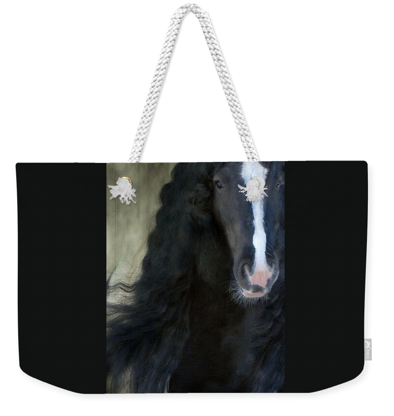 Gypsy Stallion Weekender Tote Bag featuring the photograph Valentino Dreams by Fran J Scott