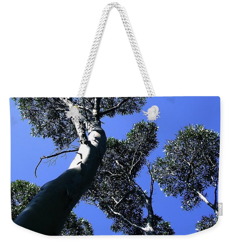 Landscape Weekender Tote Bag featuring the digital art Valley of the Giant Tingles by Tim Richards