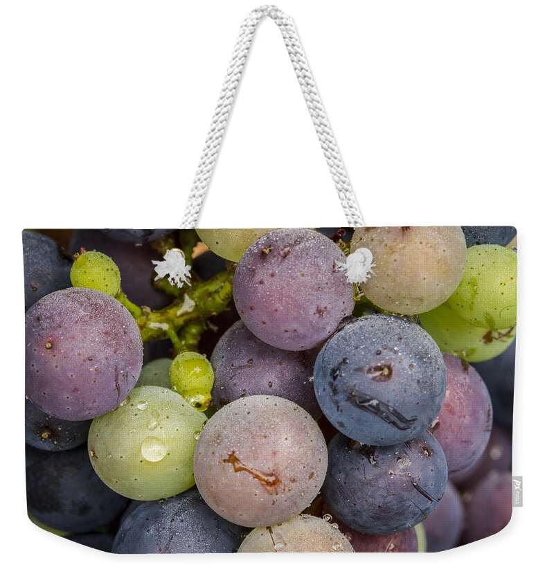 Grape Weekender Tote Bag featuring the photograph Variation by Jean Noren