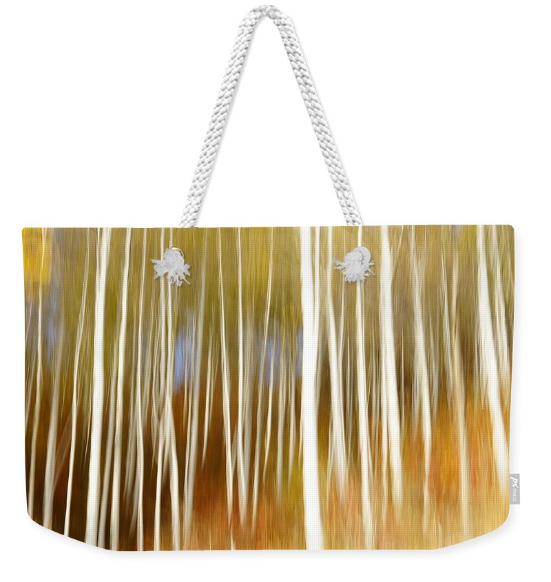 Blurred Motion Weekender Tote Bag featuring the photograph Variation Of Birch by Penboy