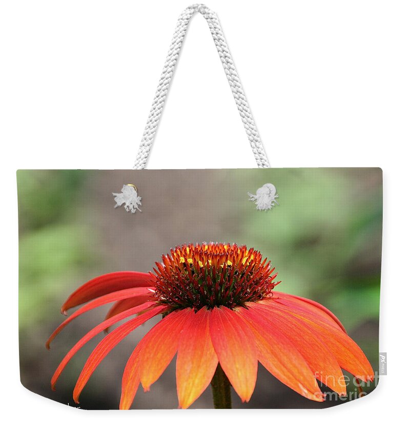 Cone Flower Weekender Tote Bag featuring the photograph Vibrant Cone by Susan Herber