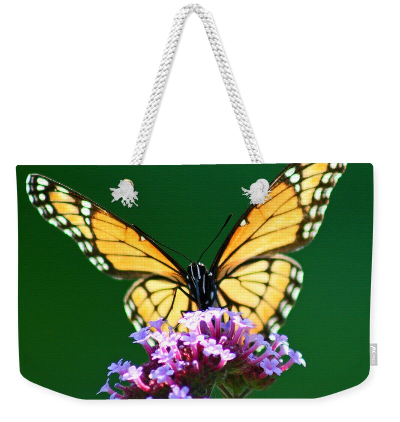 Butterfly Weekender Tote Bag featuring the photograph Viceroy Butterfly Square by Karen Adams