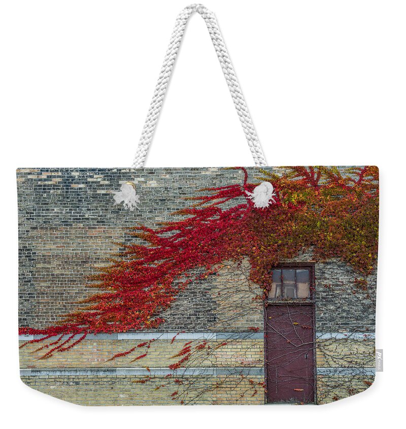 Old Weekender Tote Bag featuring the photograph Vine Over Door by Paul Freidlund