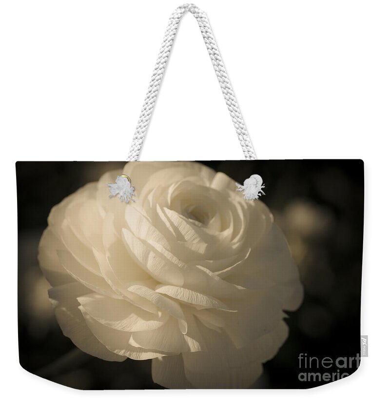 Flower Weekender Tote Bag featuring the photograph Vintage White by Ana V Ramirez