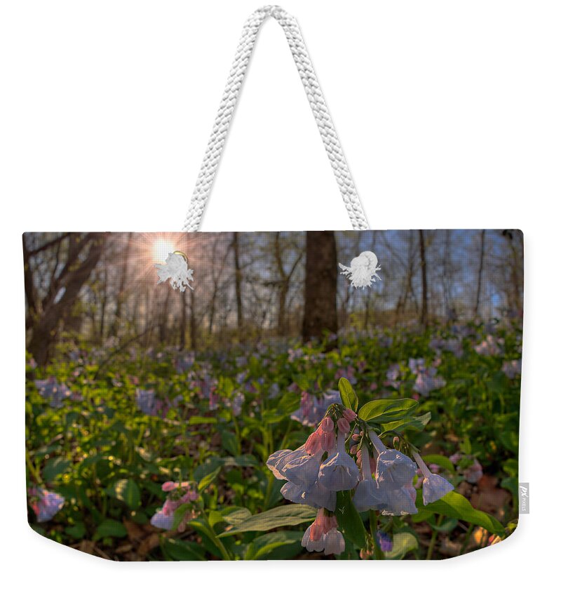 2012 Weekender Tote Bag featuring the photograph Virgina Bluebells by Robert Charity