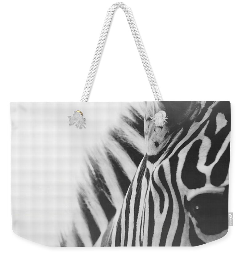 Black And White Weekender Tote Bag featuring the photograph Visions by Carrie Ann Grippo-Pike