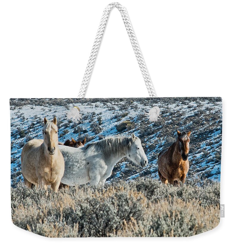 Santa Weekender Tote Bag featuring the photograph Visitors from the Red Willows by Charles Muhle