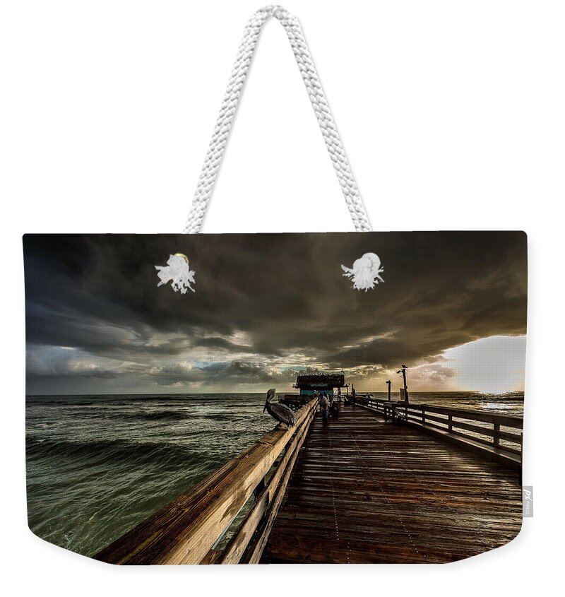 Nature Weekender Tote Bag featuring the photograph Waiting for Breakfast by Steven Reed
