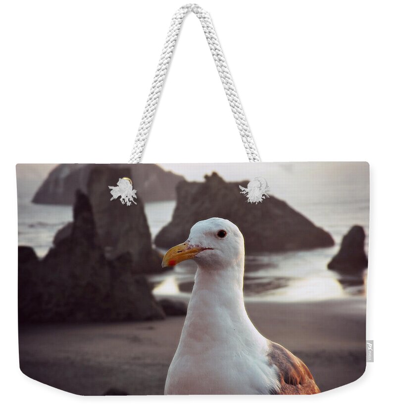 Waiting For A Handout Weekender Tote Bag featuring the photograph Waiting For A Handout by Micki Findlay