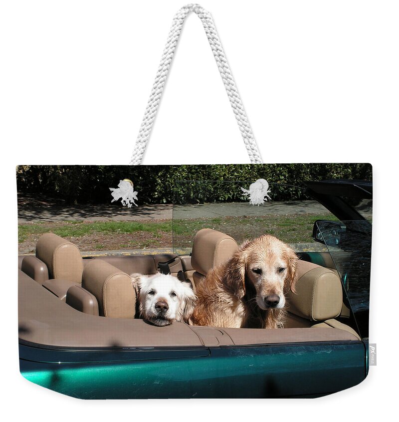 Dogs Weekender Tote Bag featuring the photograph Waiting Patiently by Cheryl Hoyle