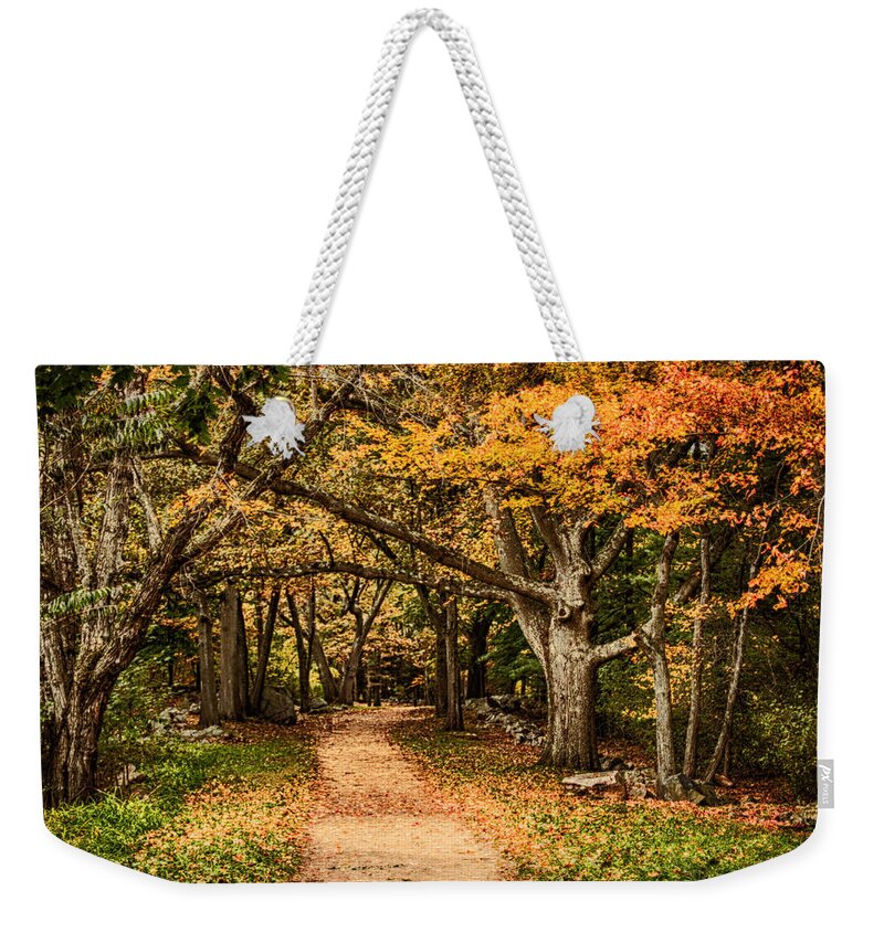 Autumn Foliage New England Weekender Tote Bag featuring the photograph Walk in the woods by Jeff Folger