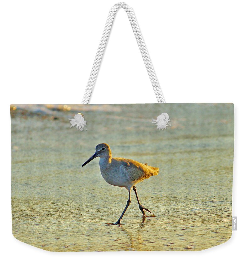 Bird Weekender Tote Bag featuring the photograph Walk On The Beach by Cynthia Guinn