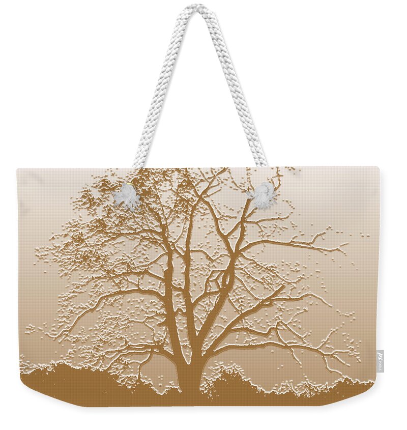 Sunrise Weekender Tote Bag featuring the digital art Walnut Tree Series Plaster Golden by Conni Schaftenaar