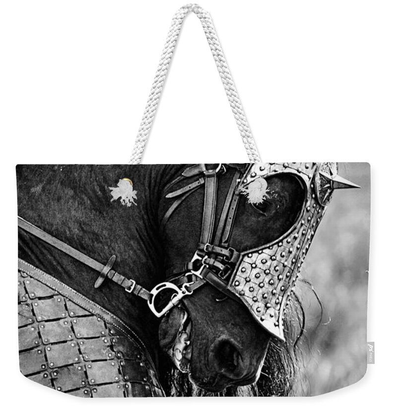 Warrior Horse Weekender Tote Bag featuring the photograph Warrior Horse by Wes and Dotty Weber