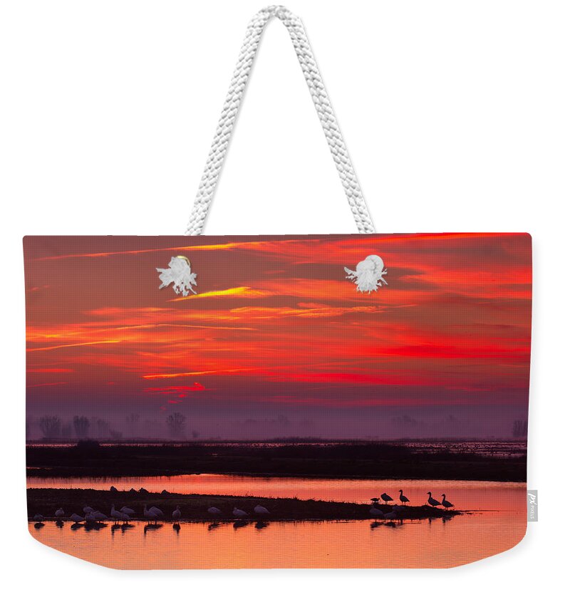Wetland Weekender Tote Bag featuring the photograph Watchers on the Shore by Kathleen Bishop