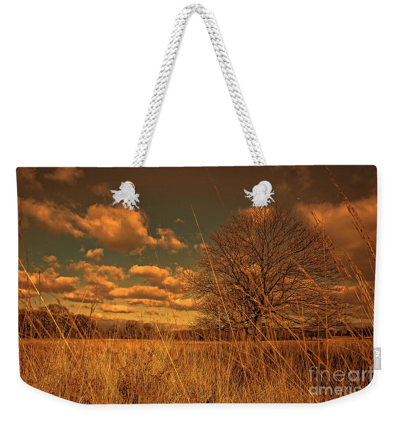 Savannah Weekender Tote Bag featuring the photograph Watching from the tall grass by Jasna Buncic