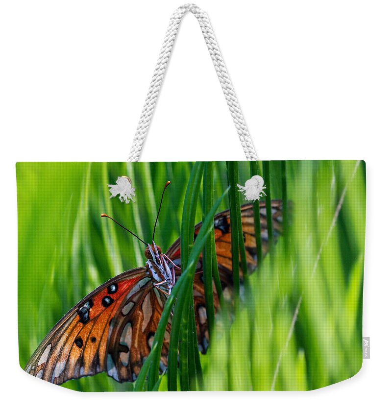 Butterfly.insect.sago Weekender Tote Bag featuring the photograph Watching Me by Farol Tomson