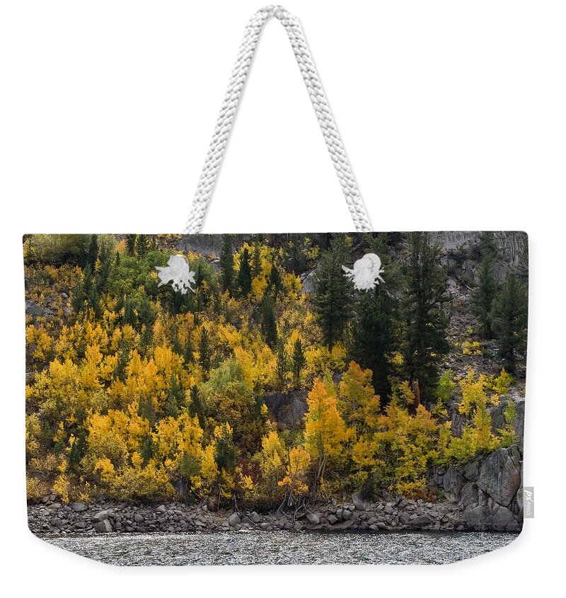 Yellow Weekender Tote Bag featuring the photograph Water Granite and Trees by Cat Connor