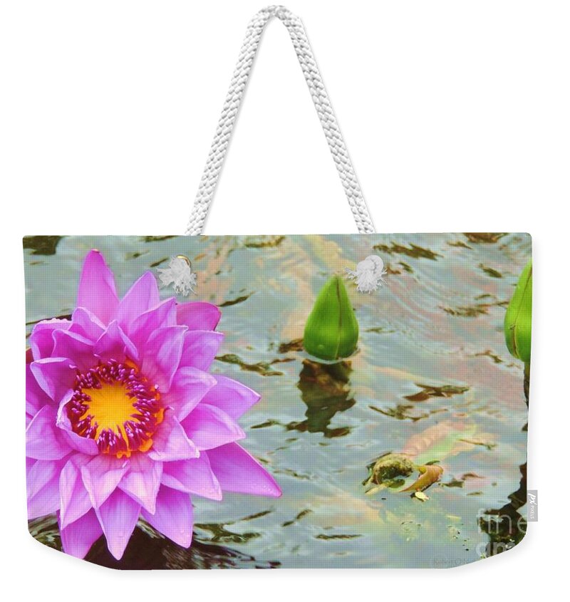 Water Lily Weekender Tote Bag featuring the photograph Water Lilies 001 by Robert ONeil