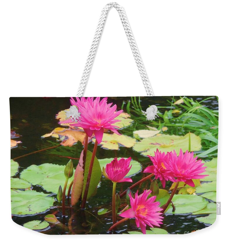 Water Lilies Weekender Tote Bag featuring the photograph Water Lilies 008 by Robert ONeil