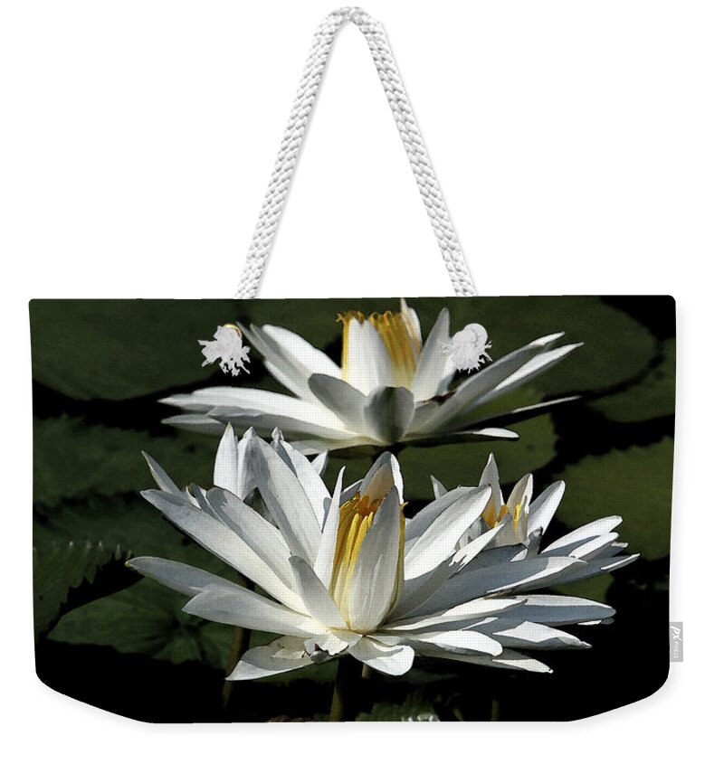 Lillies Weekender Tote Bag featuring the photograph Water Lilies by John Freidenberg