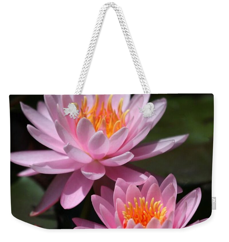 Water Lilies Weekender Tote Bag featuring the photograph Water Lilies Love the Sun by Sabrina L Ryan