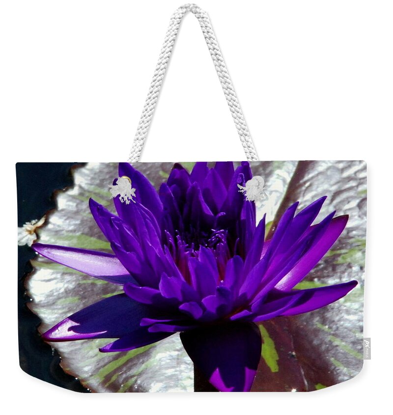 Water Weekender Tote Bag featuring the photograph Water Lily 008 by Larry Ward