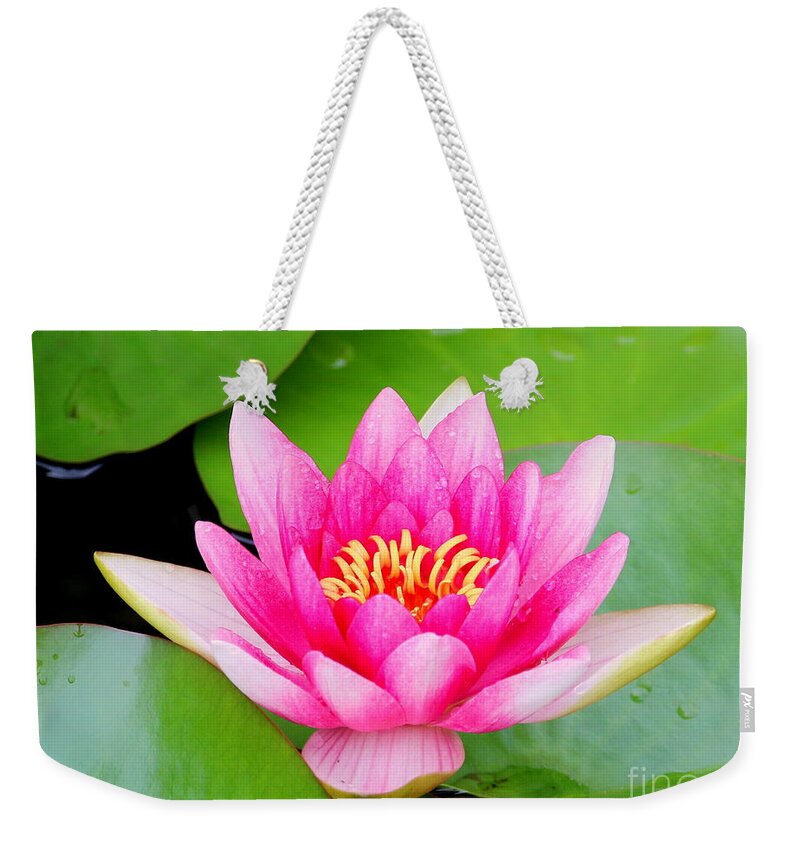 Blossom Weekender Tote Bag featuring the photograph Water lily by Amanda Mohler