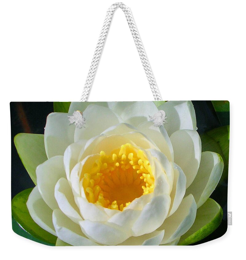 Flowers Weekender Tote Bag featuring the photograph Water Lily by Guy Whiteley