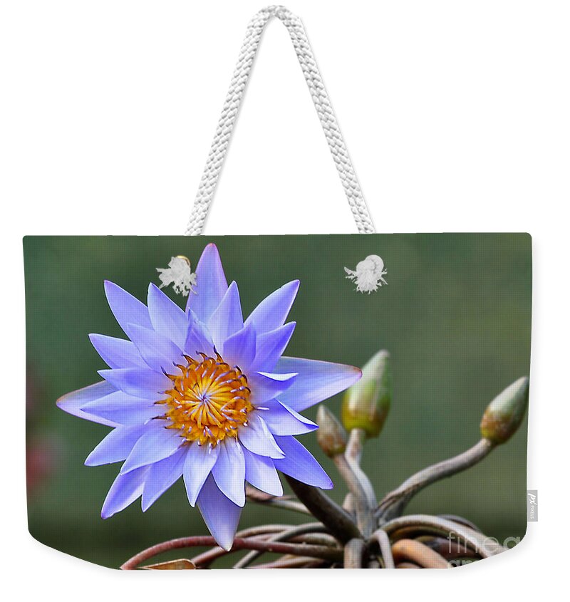 Flowers Weekender Tote Bag featuring the photograph Water Lily Reflections by Kathy Baccari