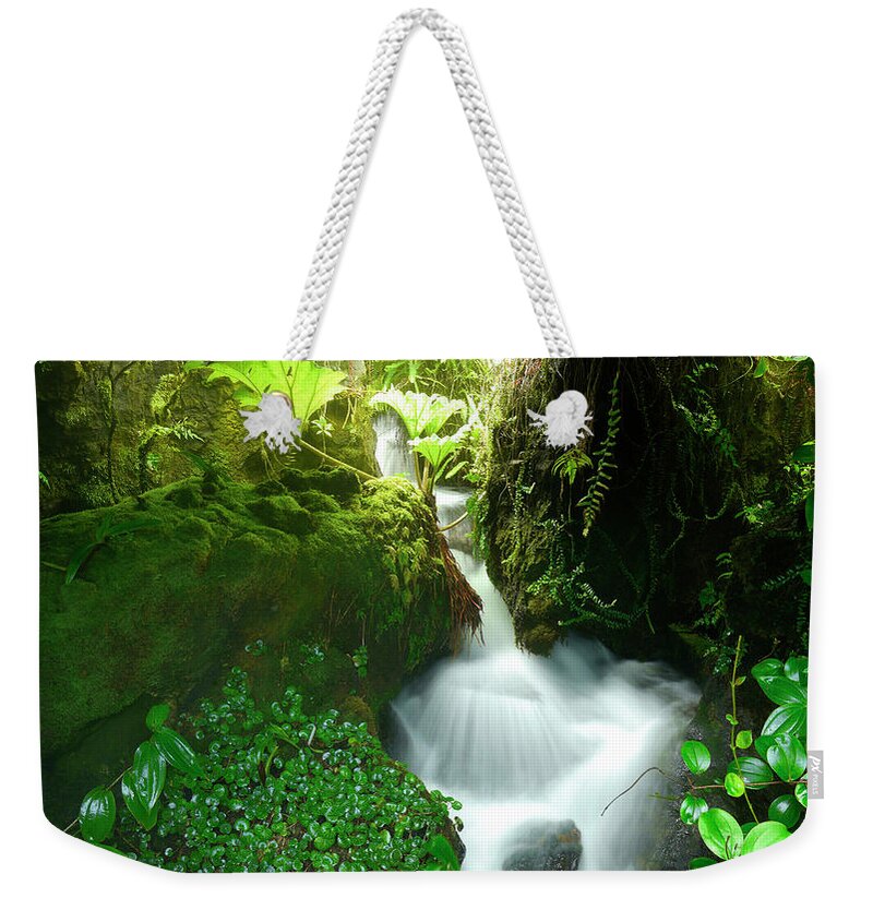 Tropical Rainforest Weekender Tote Bag featuring the photograph Waterfall In The Rainforest, Malaysia by Travelpix Ltd