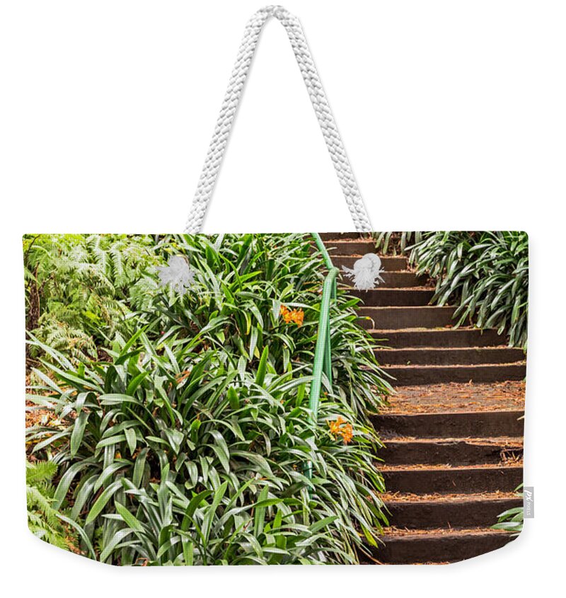 Bushes Weekender Tote Bag featuring the photograph Waterfall Stairway by Kate Brown