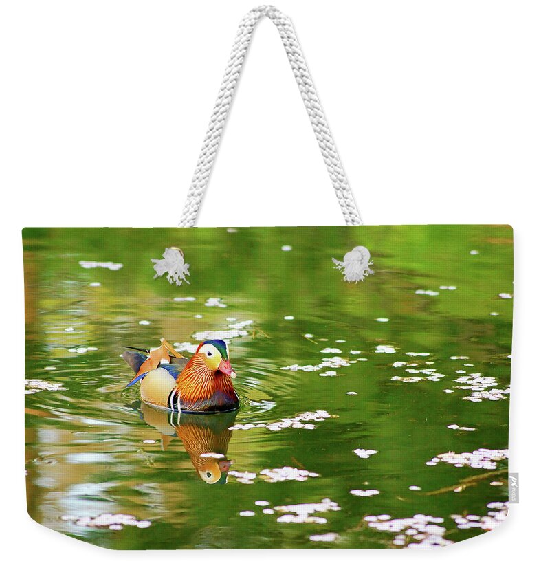 Aomori Prefecture Weekender Tote Bag featuring the photograph Waterfowl by The Landscape Of Regional Cities In Japan.