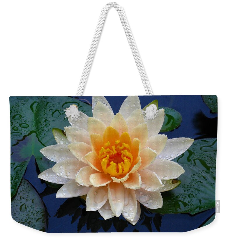 Waterlily Weekender Tote Bag featuring the photograph Waterlily After a Shower by Raymond Salani III