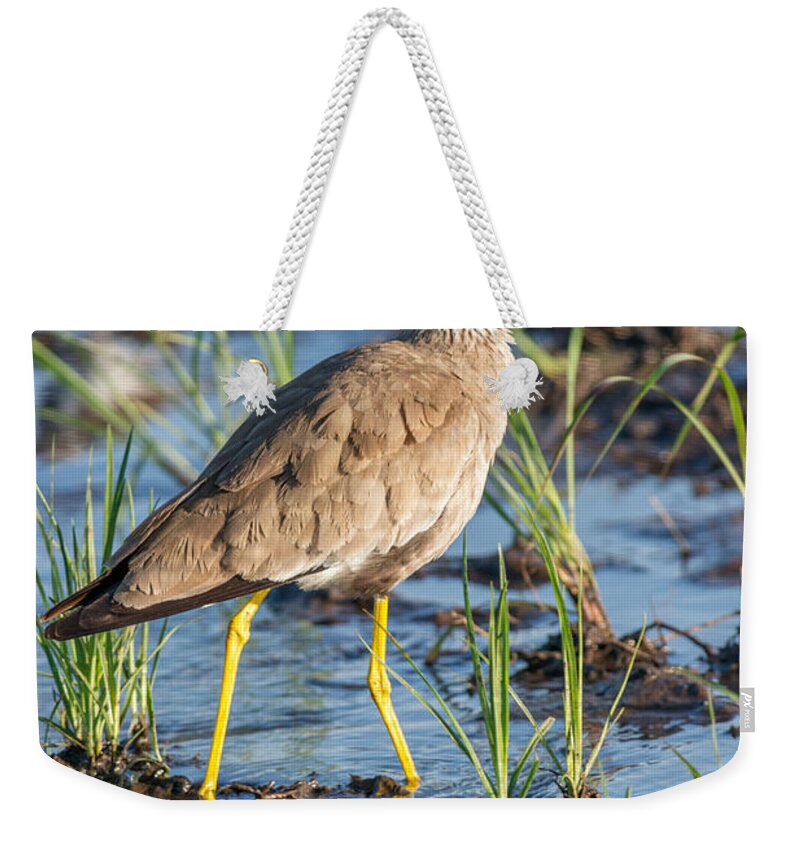 Adult Weekender Tote Bag featuring the photograph Wattled Lapwing by James Steinberg