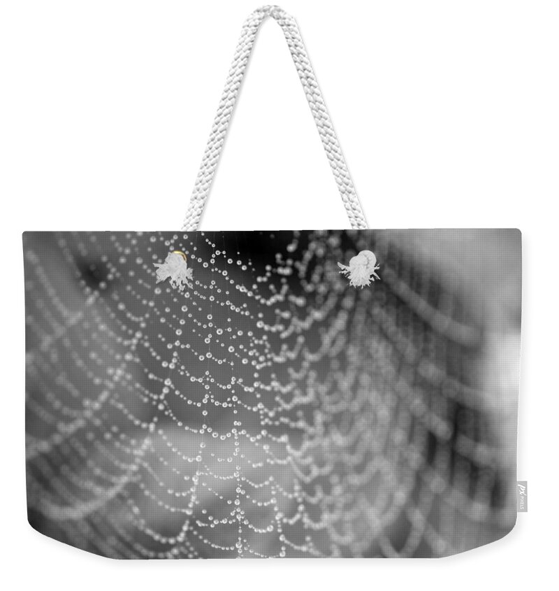 Spider Weekender Tote Bag featuring the photograph Web in the rain by Jackson Pearson