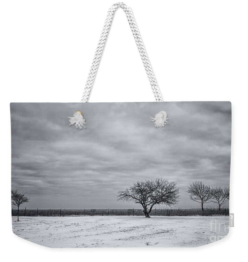 Winter Weekender Tote Bag featuring the photograph Weeping Souls Of Winter Desires by Evelina Kremsdorf
