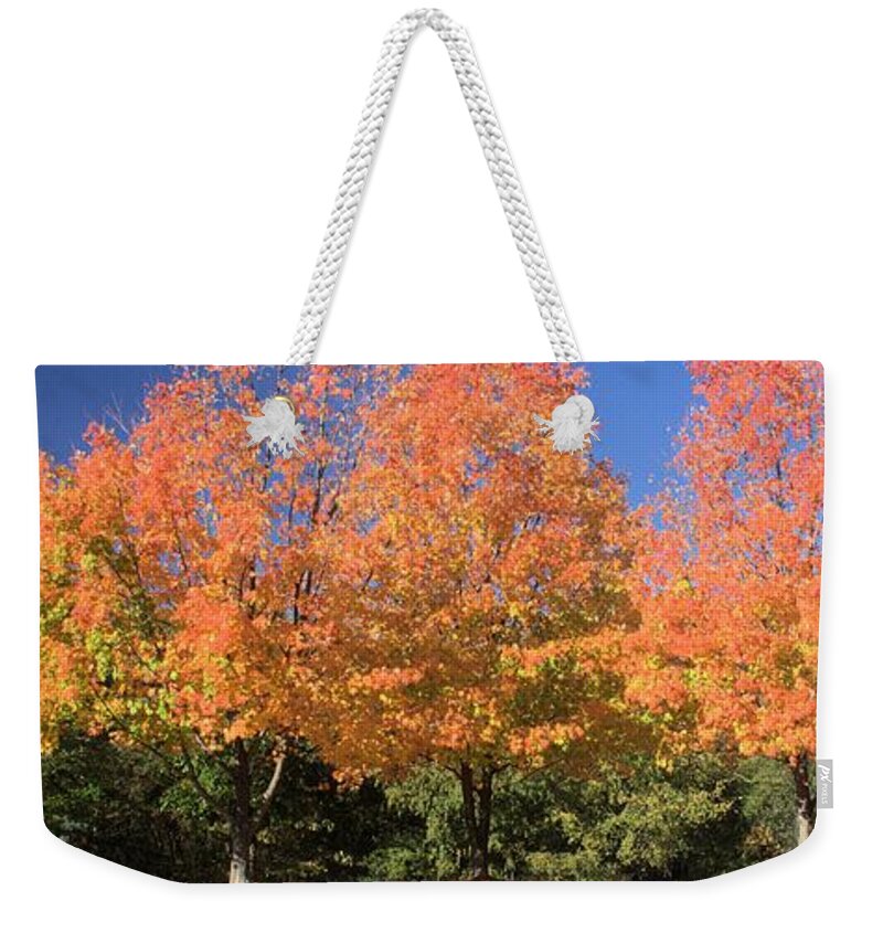 5633 Weekender Tote Bag featuring the photograph Welcome Autumn by Gordon Elwell