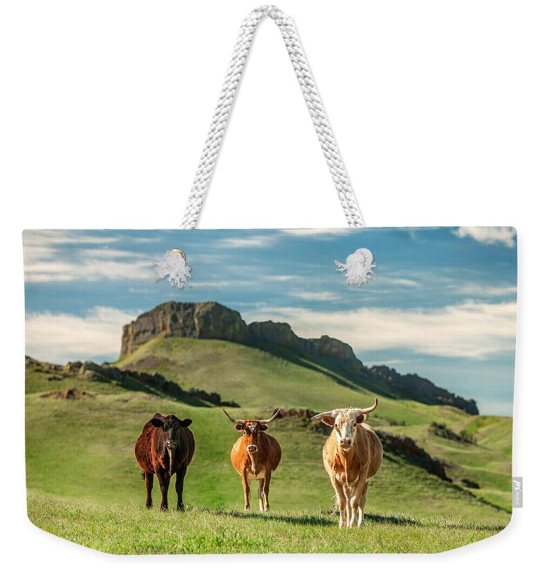 Cattle Weekender Tote Bag featuring the photograph Western Longhorns by Todd Klassy